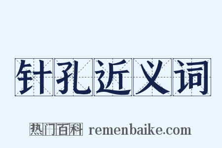 针孔近义词是什么意思的图片